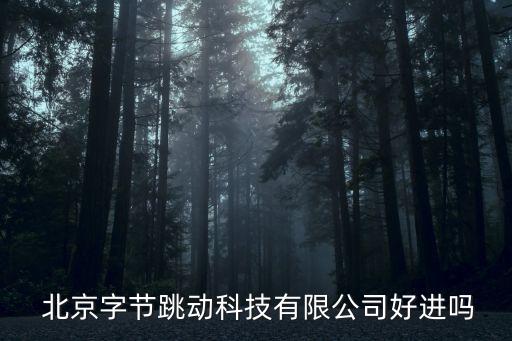  北京字節跳動科技有限公司好進嗎