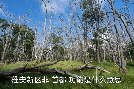 雄安新區非 首都 功能是什么意思