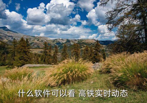 什么軟件可以看 高鐵實時動態