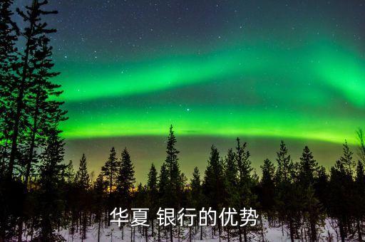 華夏直銷銀行是什么,華夏國際銀行是什么性質的銀行