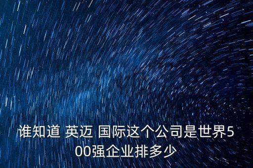誰知道 英邁 國際這個公司是世界500強企業排多少