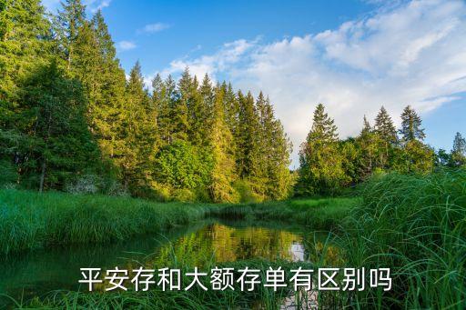  平安存和大額存單有區別嗎
