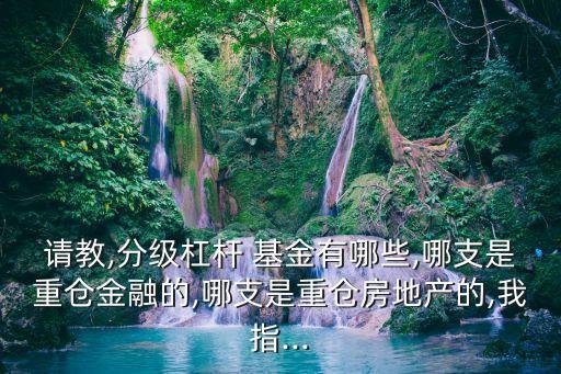請教,分級杠桿 基金有哪些,哪支是重倉金融的,哪支是重倉房地產的,我指...