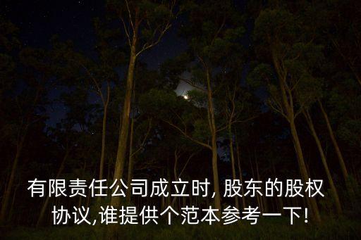 有限責任公司成立時, 股東的股權 協議,誰提供個范本參考一下!