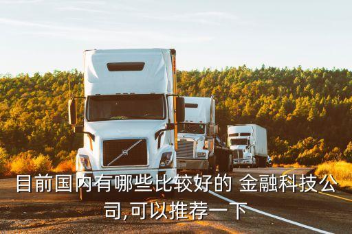目前國內有哪些比較好的 金融科技公司,可以推薦一下