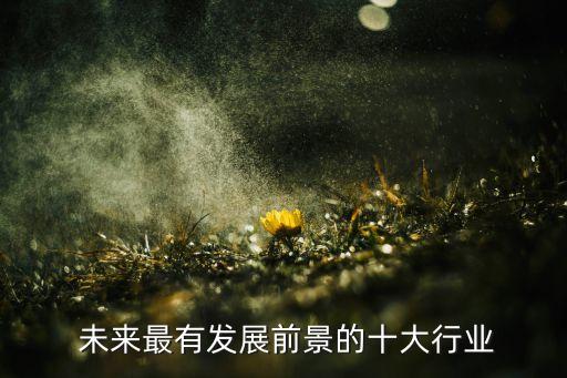  未來最有發展前景的十大行業