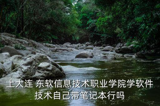 上大連 東軟信息技術職業學院學軟件技術自己帶筆記本行嗎