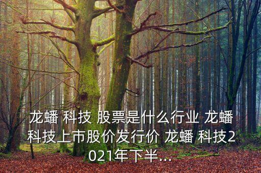  龍蟠 科技 股票是什么行業 龍蟠 科技上市股價發行價 龍蟠 科技2021年下半...