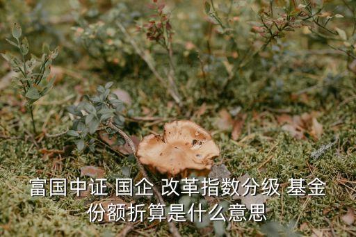 富國中證 國企 改革指數分級 基金份額折算是什么意思