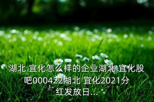 湖北 宜化怎么樣的企業湖北 宜化股吧000422湖北 宜化2021分紅發放日...