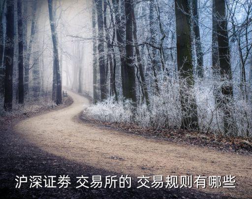 滬深證劵 交易所的 交易規則有哪些