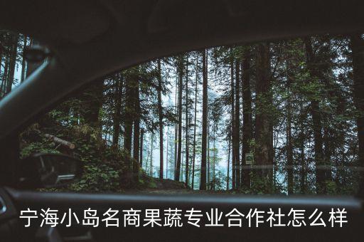  寧海小島名商果蔬專業合作社怎么樣