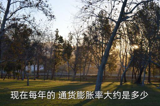 現在每年的 通貨膨脹率大約是多少