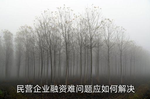  民營企業融資難問題應如何解決
