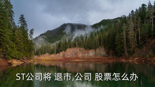 集成傘業股票退市