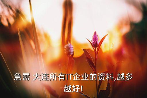 急需 大連所有IT企業的資料,越多越好!