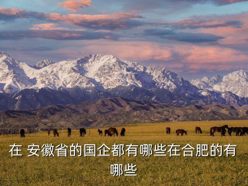 安徽淮海實業集團公司