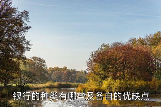  銀行的種類有哪些及各自的優缺點