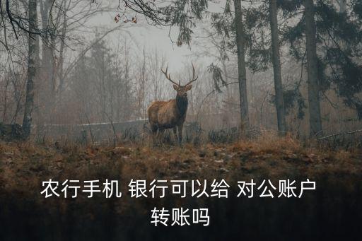  農行手機 銀行可以給 對公賬戶 轉賬嗎