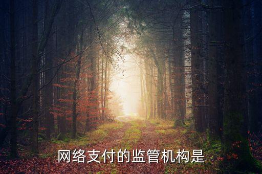網絡支付的監管機構是