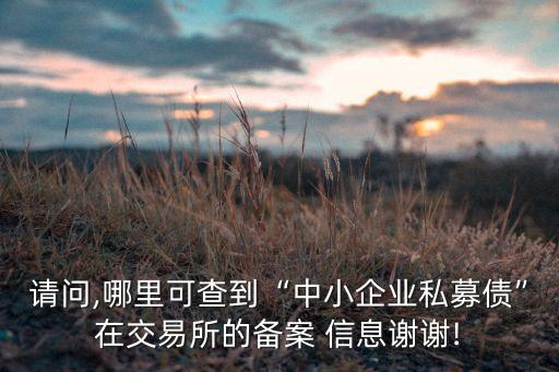 請問,哪里可查到“中小企業私募債”在交易所的備案 信息謝謝!