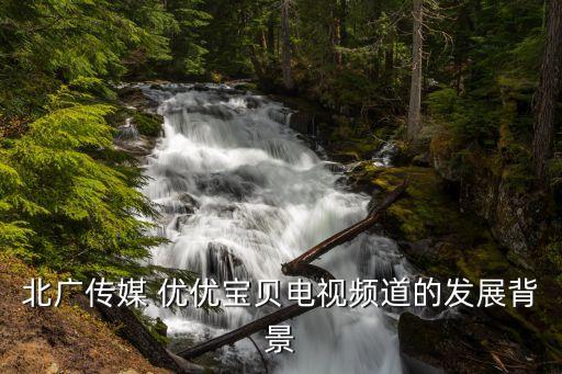 優優寶基金,寶太優優充電