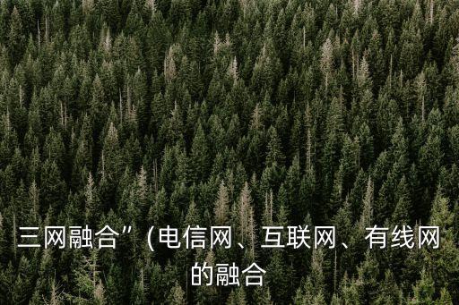 三網融合”(電信網、互聯網、有線網的融合