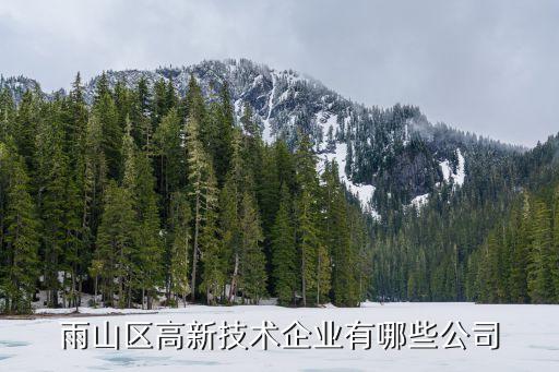 雨山區高新技術企業有哪些公司