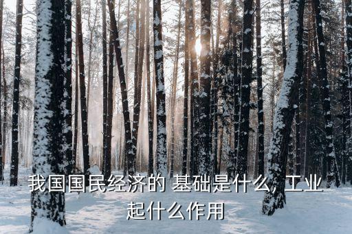 我國國民經濟的 基礎是什么, 工業起什么作用