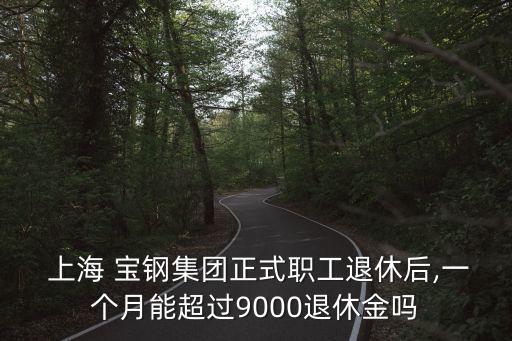  上海 寶鋼集團正式職工退休后,一個月能超過9000退休金嗎