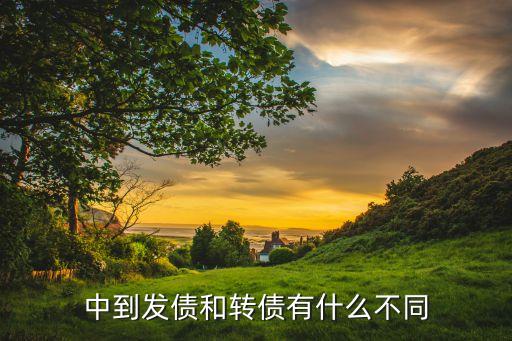 中到發債和轉債有什么不同