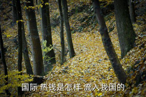 國(guó)際 熱錢是怎樣 流入我國(guó)的