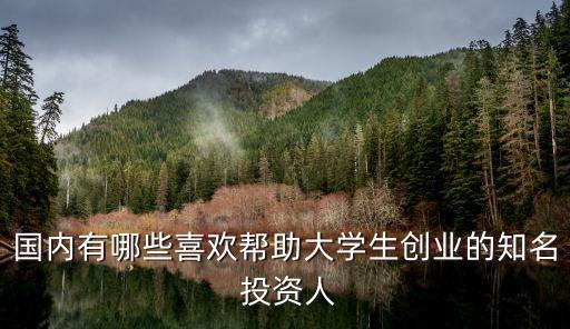 國內有哪些喜歡幫助大學生創業的知名 投資人