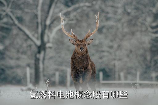 中電鑫龍股票行情,中電興發股票行情