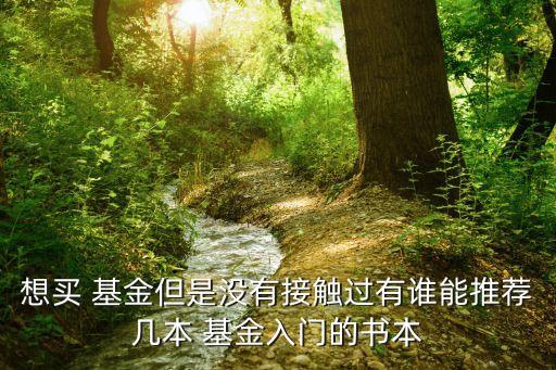 產業基金項目書,成立產業基金和成立項目公司