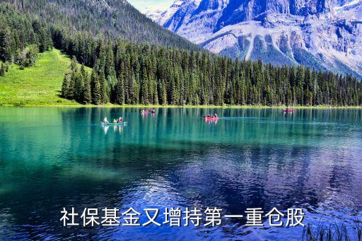  社?；鹩衷龀值谝恢貍}股