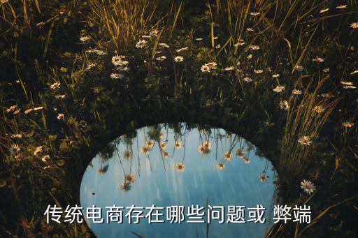 傳統電商存在哪些問題或 弊端
