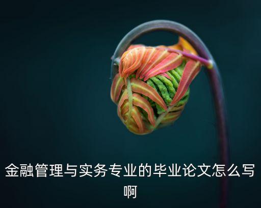 商業銀行信息化建設研究