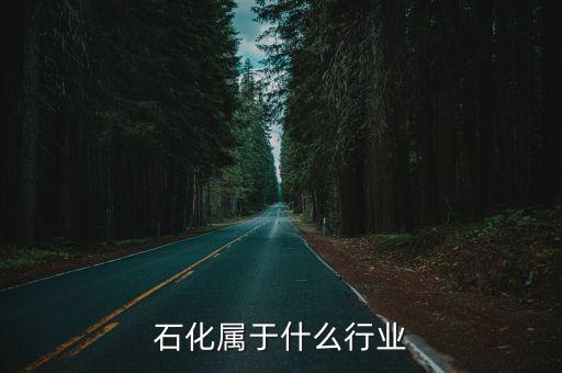 石化屬于什么行業