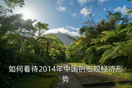 如何看待2014年中國的宏觀經濟形勢