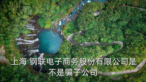  上海 鋼聯電子商務股份有限公司是不是騙子公司