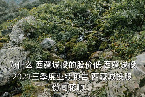 為什么 西藏城投的股價低 西藏城投2021三季度業績預告 西藏城投股份同花順...