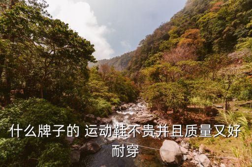 什么牌子的 運動鞋不貴并且質量又好耐穿