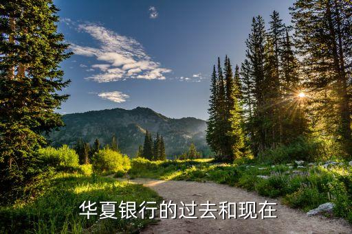  華夏銀行的過去和現在