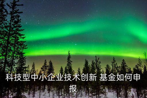 科技型中小企業技術創新 基金如何申報