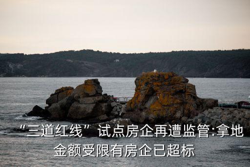 “三道紅線”試點房企再遭監管:拿地金額受限有房企已超標