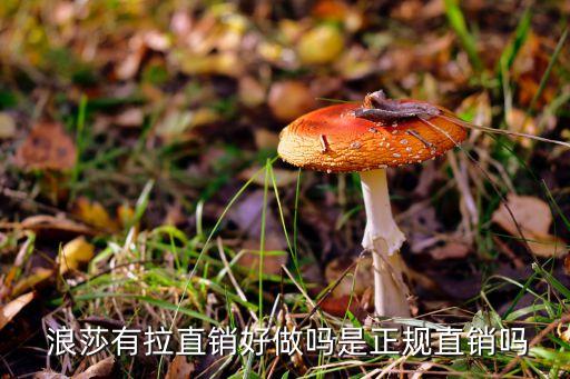  浪莎有拉直銷好做嗎是正規直銷嗎