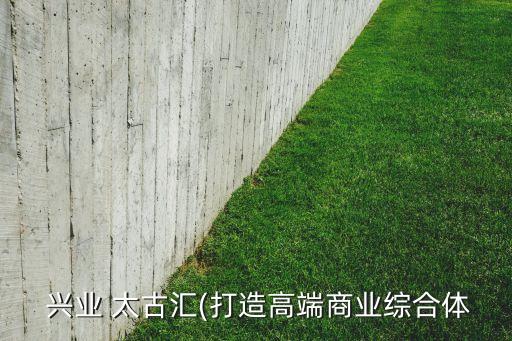 上海大中里太古興業,上海興業太古2號線幾號口