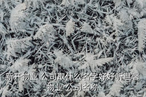 新開物業 公司取什么名字好好聽溫馨物業 公司名稱