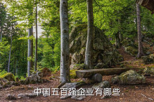 中國五百強企業有哪些